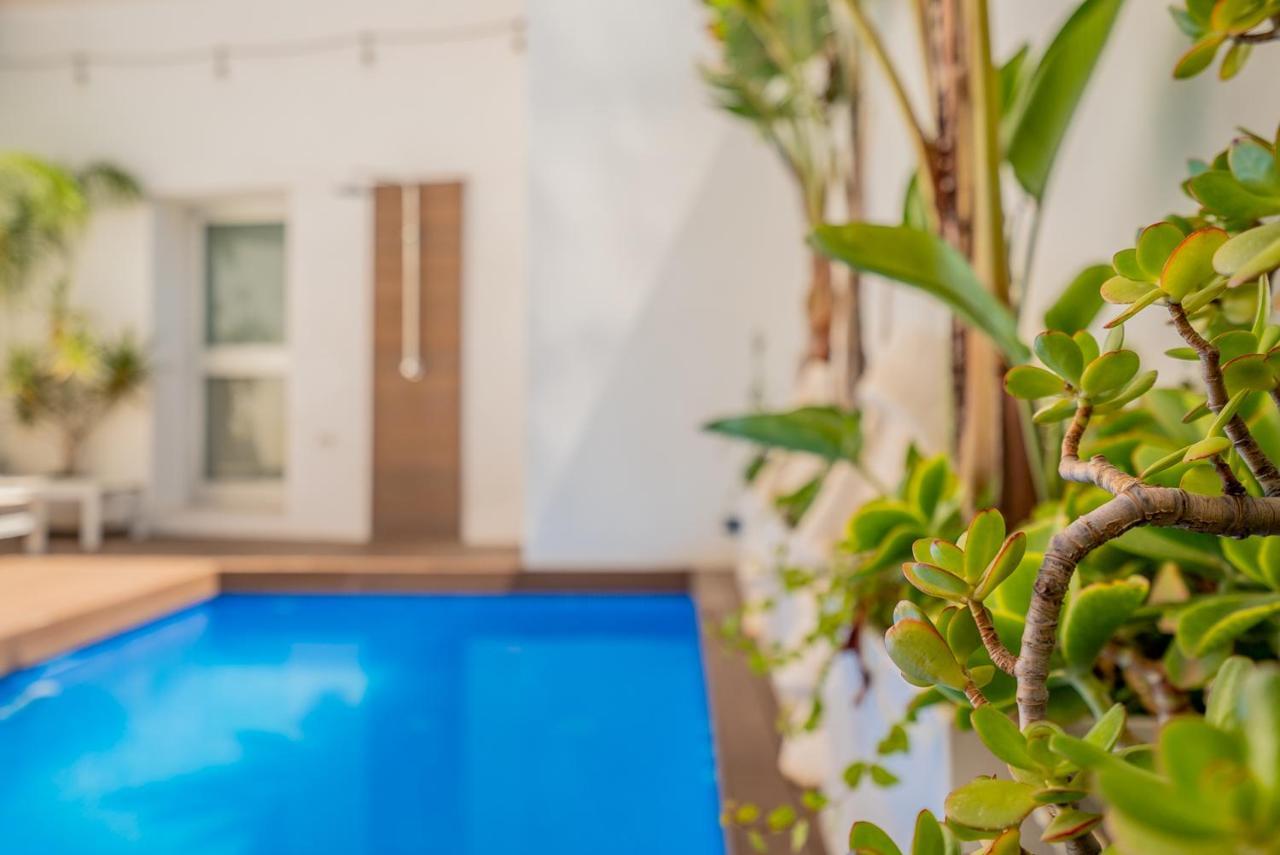 Vlvilla - Villa De Lujo En Valencia Con Piscina Privada Y Sala De Cine Burjassot Dış mekan fotoğraf